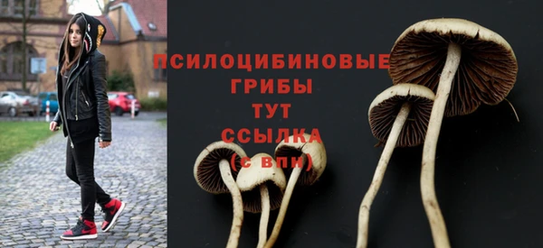 2c-b Алексеевка