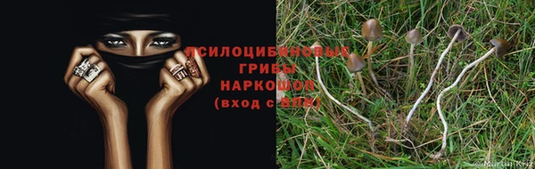 амф Алексин